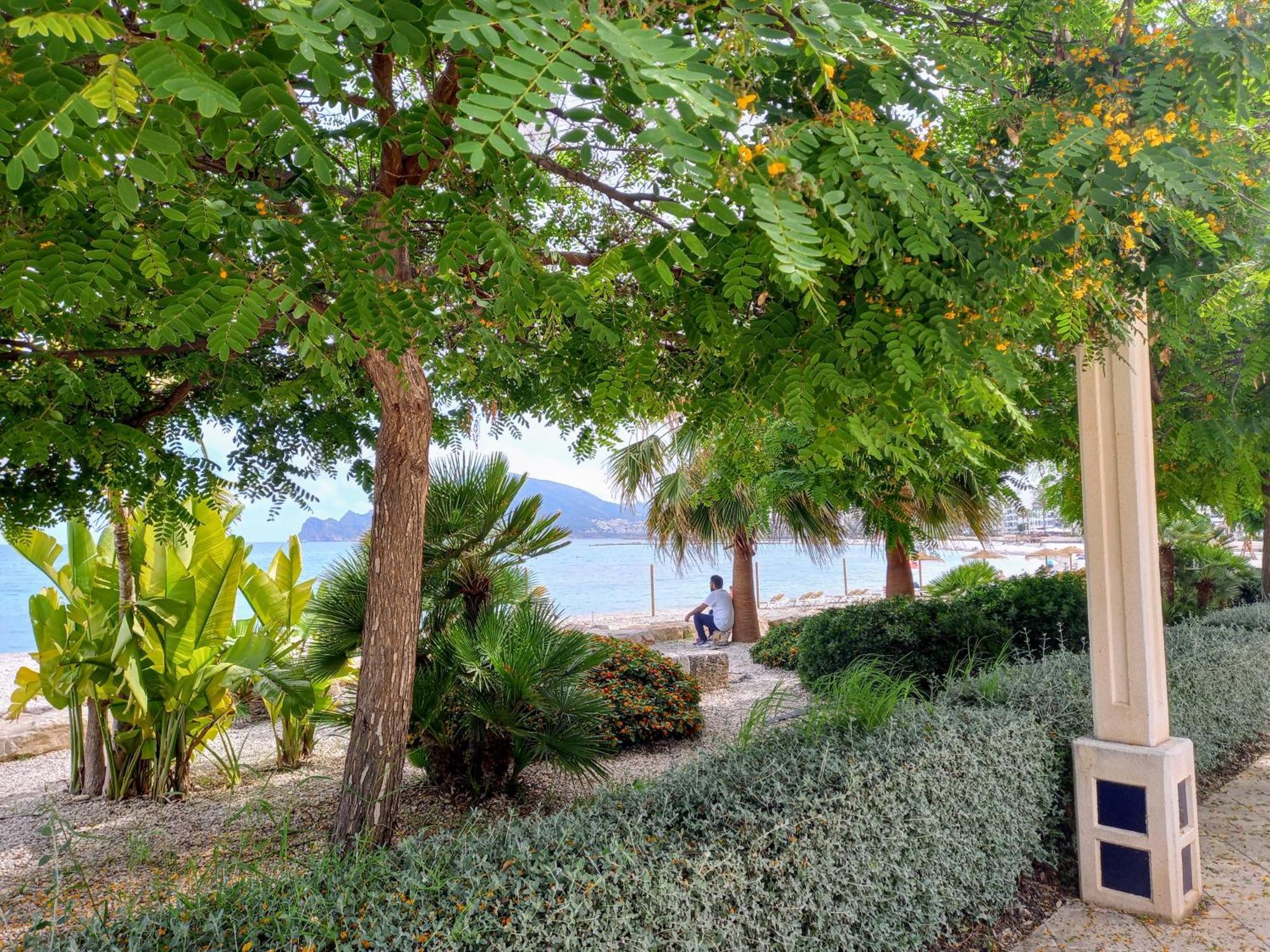 Townhouse Los Olivos M 알테아 외부 사진